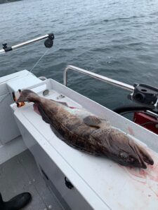 A large fish on a boat.